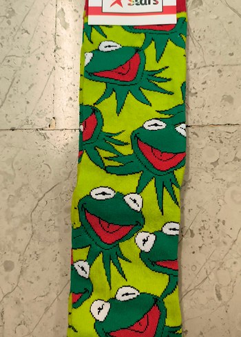 Walt Disney World 37