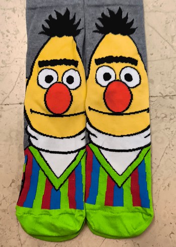 Walt Disney World 37