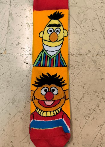 Walt Disney World 37