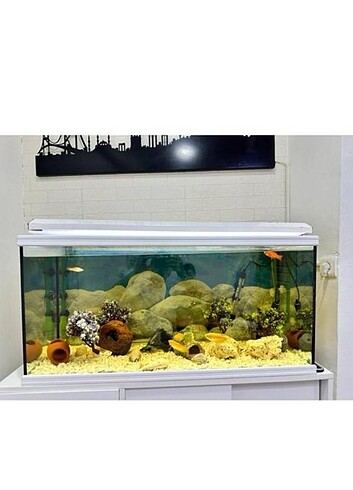 130cm akvaryum