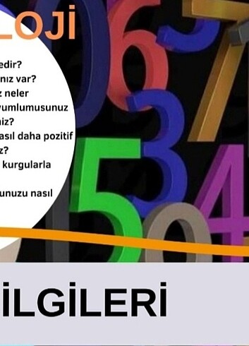  Beden Numeroloji egitimi