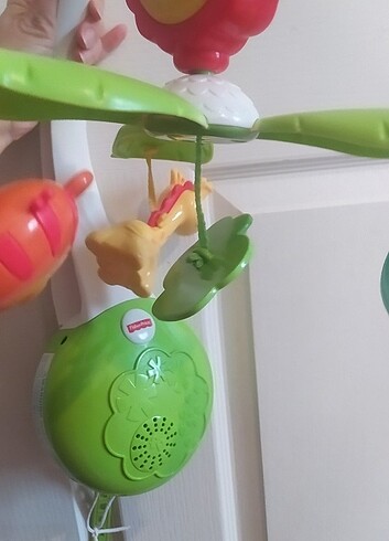 Beden Renk Fisher price müzikli dönence