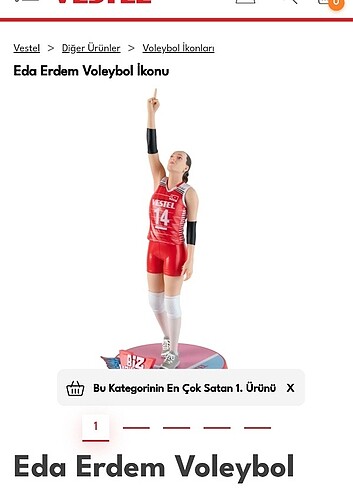 Voleybol İkonları