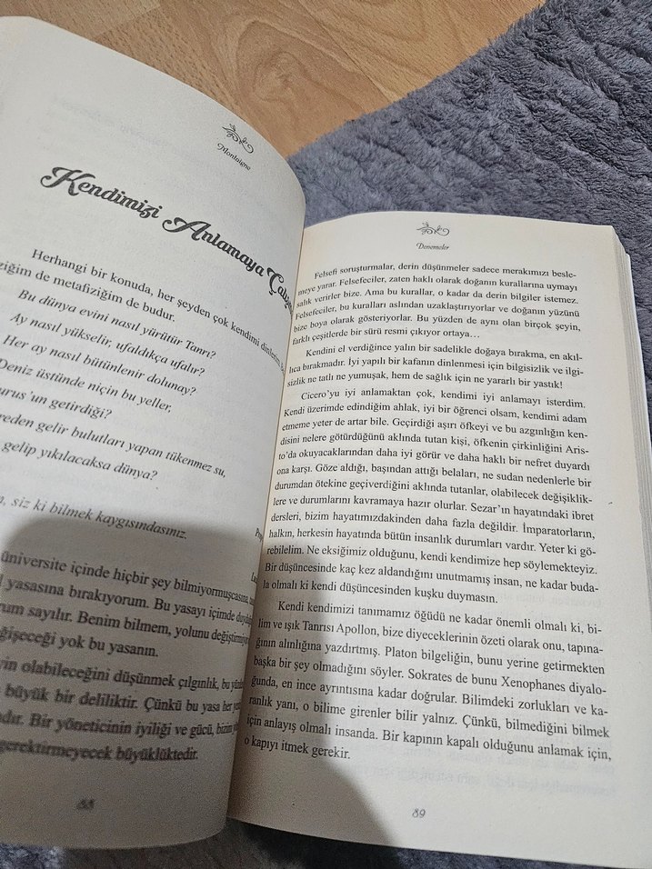 Denemeler - Montaigne - Görsel 2