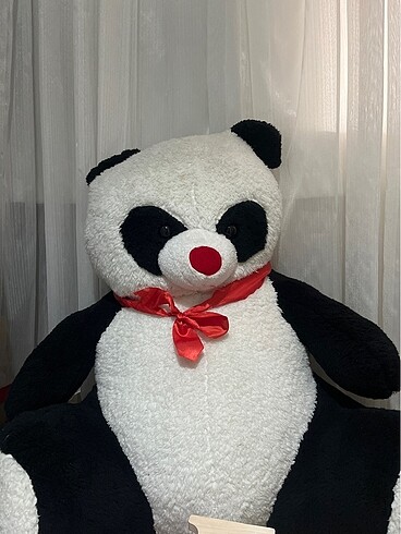 Peluş ayı