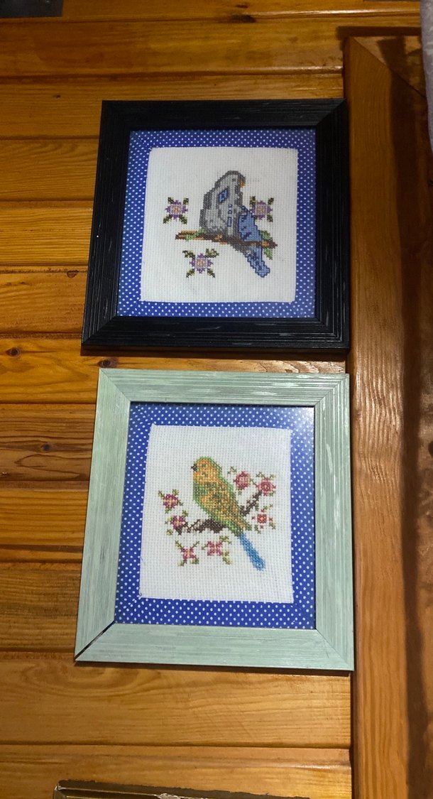 Pastel Mavi Çerçeveli Kanaviçe Kuş Motifleri - Görsel 2