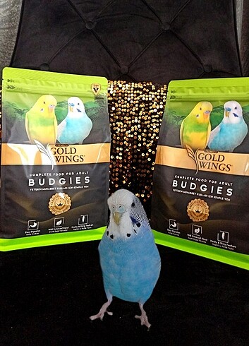 Gold Wings premium muhabbet kuşu yemi 1 kg X2 adet