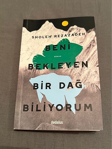Kitap-Roman