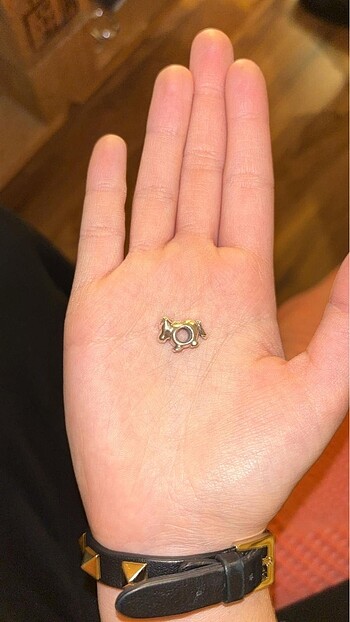 Beden gri Renk Pandora Charm