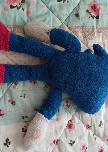 Mavi Renkli sonic - Görsel 2