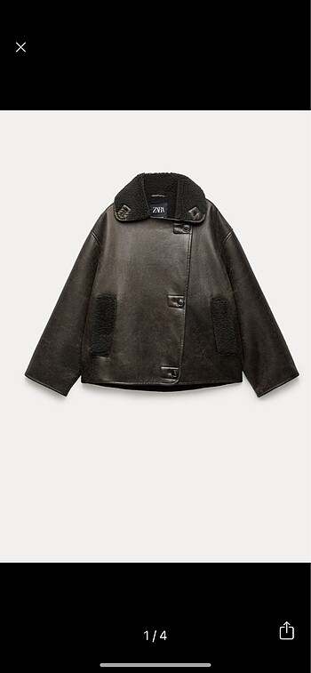 Zara viral mont