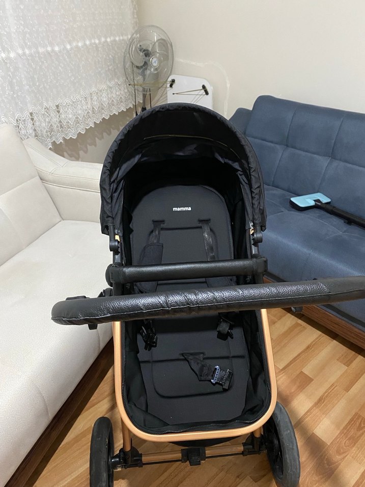 Siyah Bebek Arabası - Görsel 3