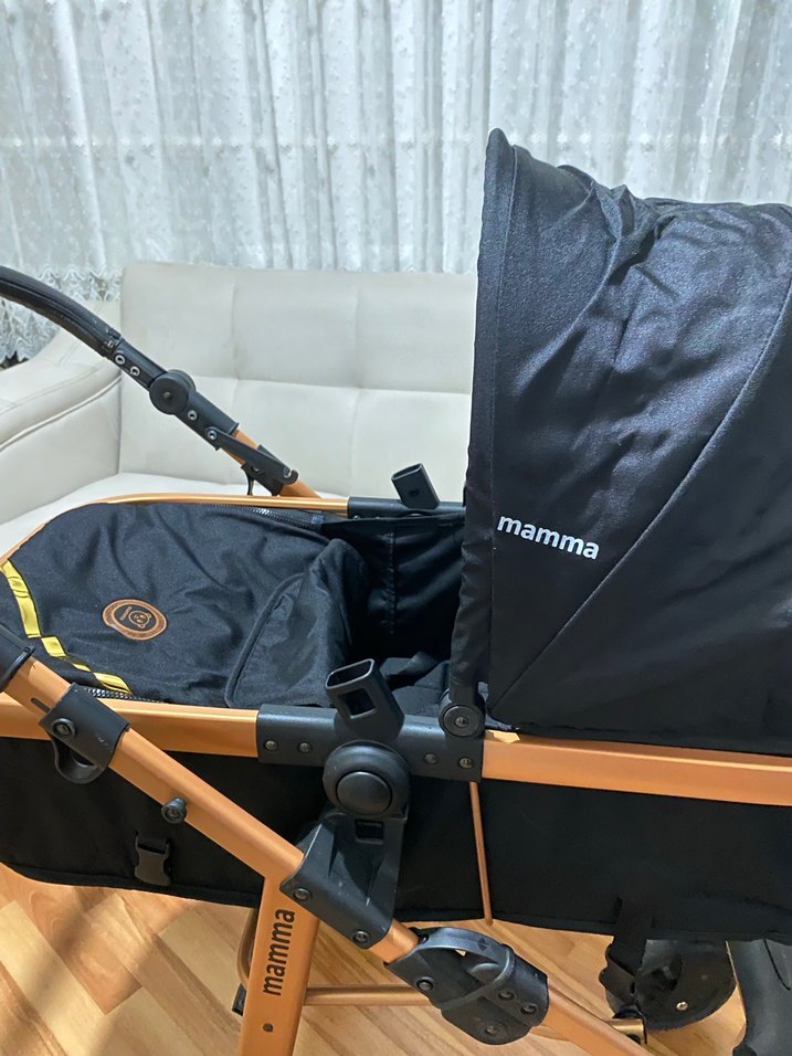 Siyah Bebek Arabası - Görsel 4