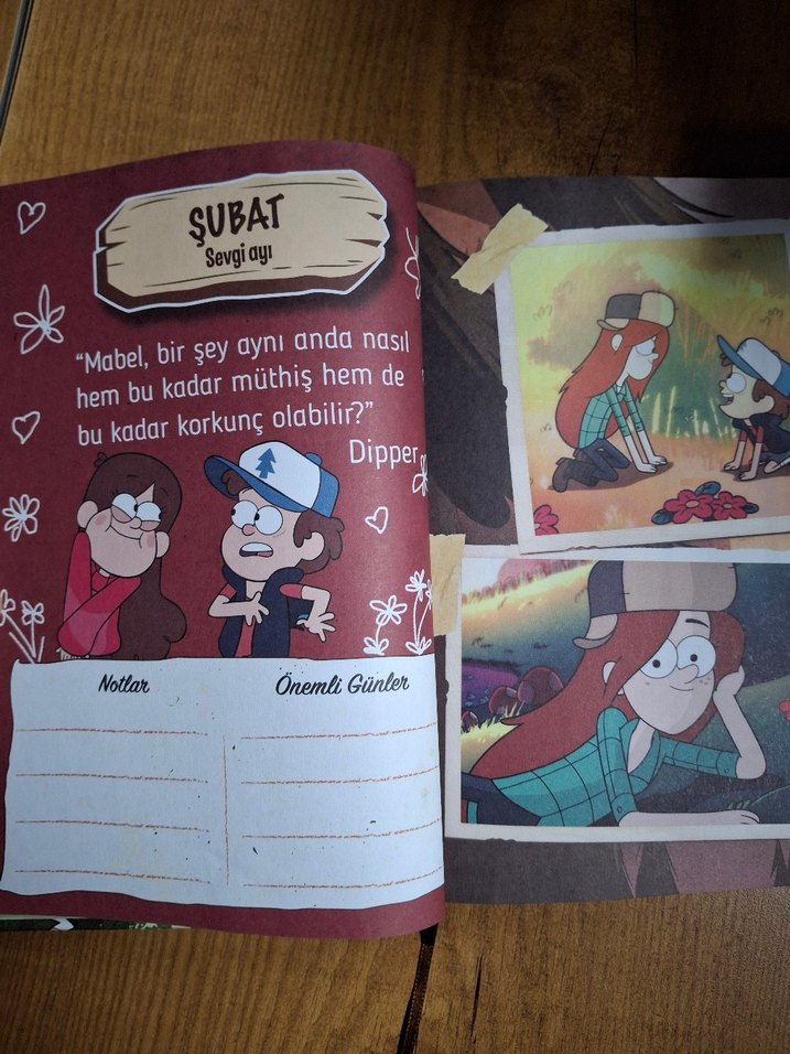 Dipper ve Mabel ile 2022 Gizemli Ajanda - Görsel 2