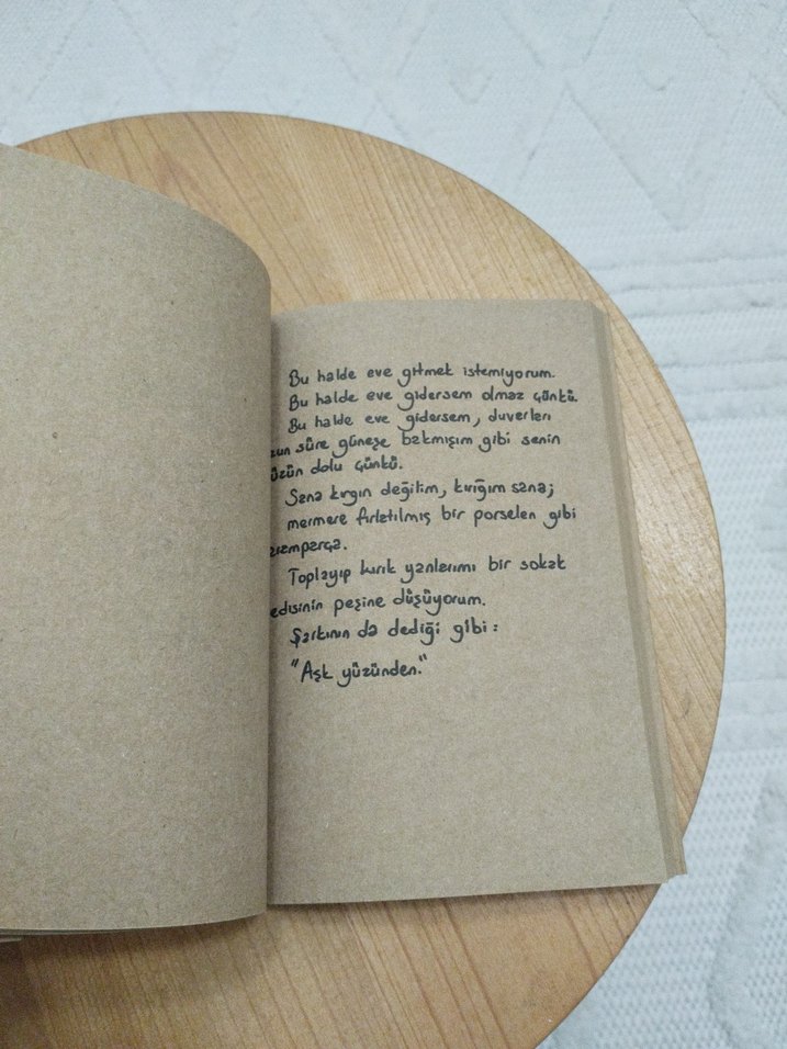 Bir Gün Beni Ağlayacaksın - Tunç İlkman - Görsel 3