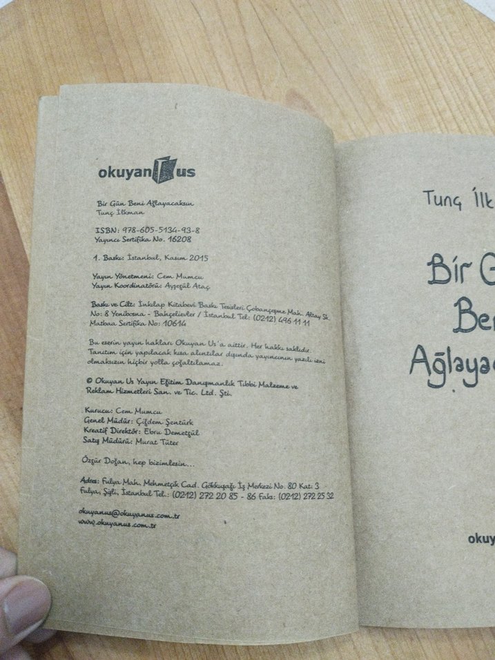 Bir Gün Beni Ağlayacaksın - Tunç İlkman - Görsel 2