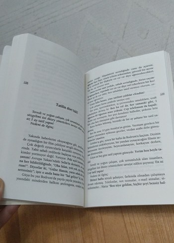 Gülse Birsel - Yolculuk Nereye Hemşerim? - Görsel 3