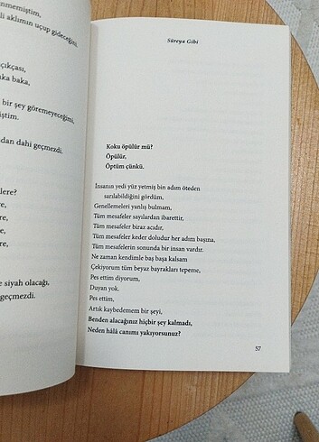 Süreya Gibi Rıdvan Keskin  - Görsel 2