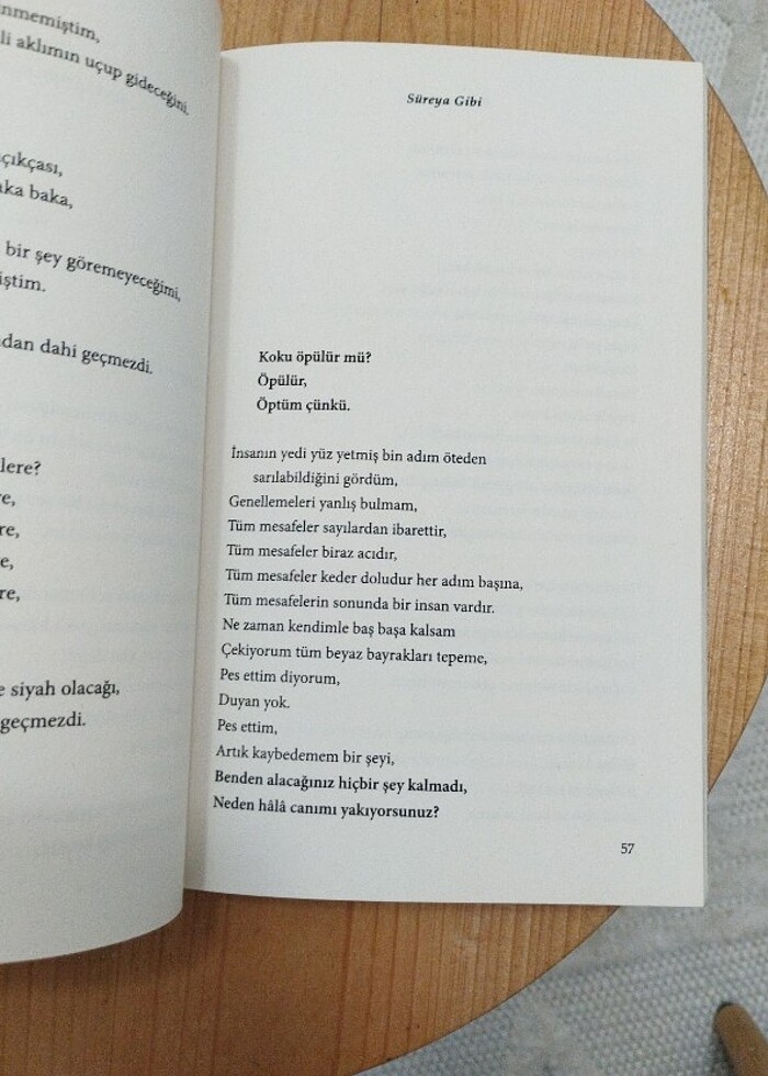 Süreya Gibi Rıdvan Keskin  - Görsel 2