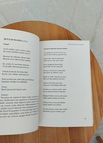 Divan Şiirinden Seçmeler - Görsel 2