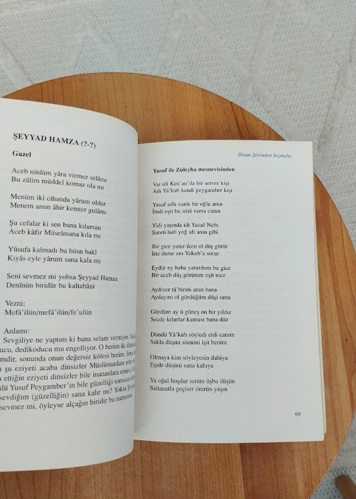 Divan Şiirinden Seçmeler  - Görsel 2