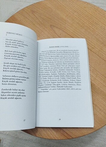 Şiir Dünyasına Yolculuk  Şairlerimizden seçmeler.  - Görsel 2