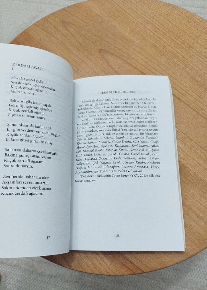 Şiir Dünyasına Yolculuk  Şairlerimizden seçmeler.  - Görsel 2