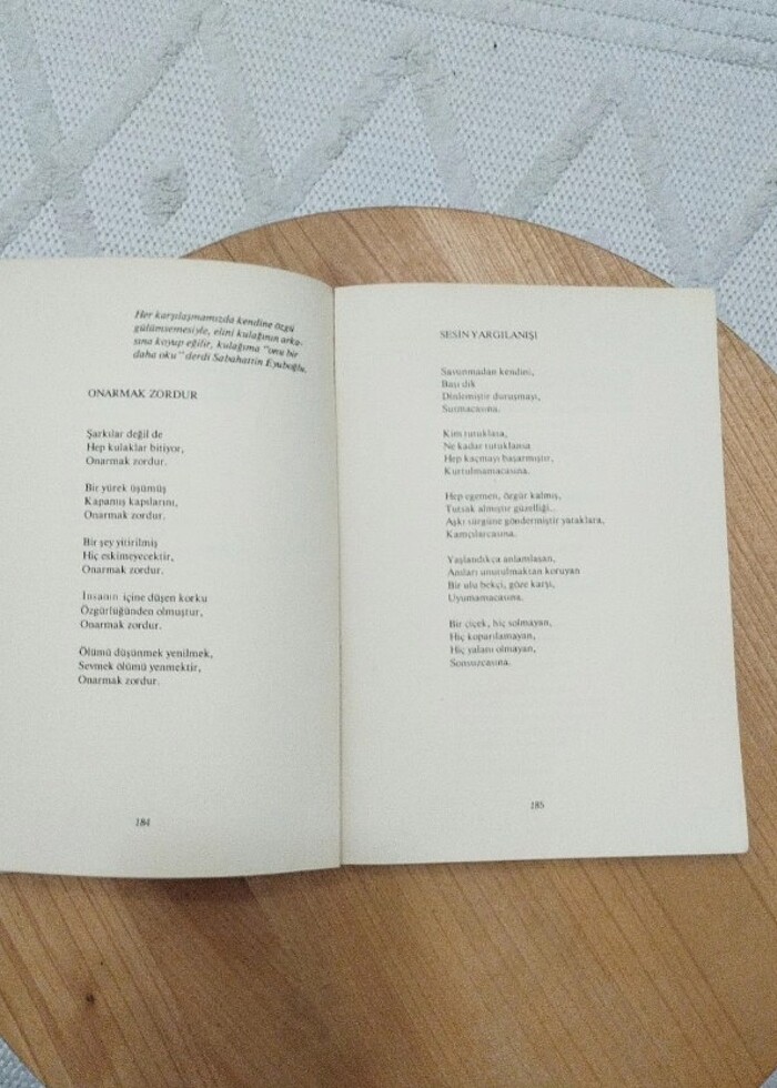 Özdemir Asaf Yalnızlık Paylaşılmaz  - Görsel 2