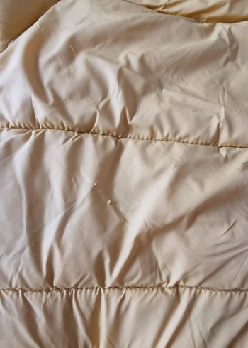 Erkek Çocuk Sarı Kapüşonlu Mont - Görsel 5