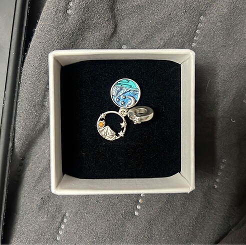 Pandora pandora charm