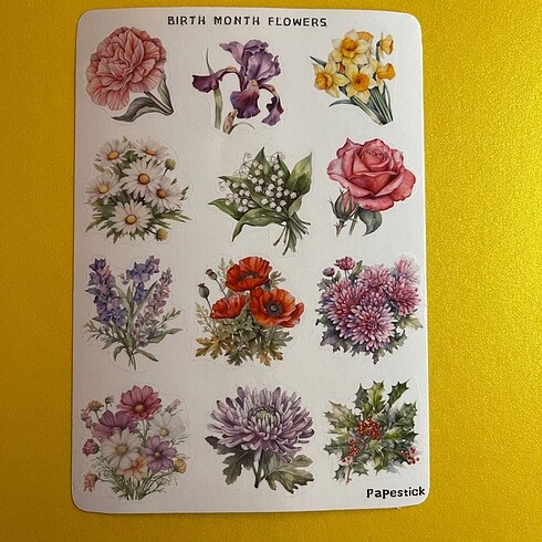 şeffaf doğum çiçeği sticker