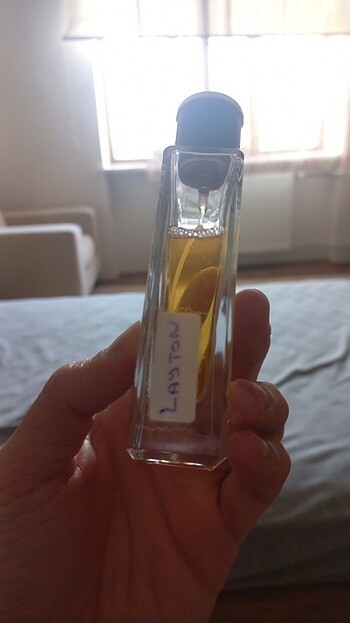 Diğer Delamore layton