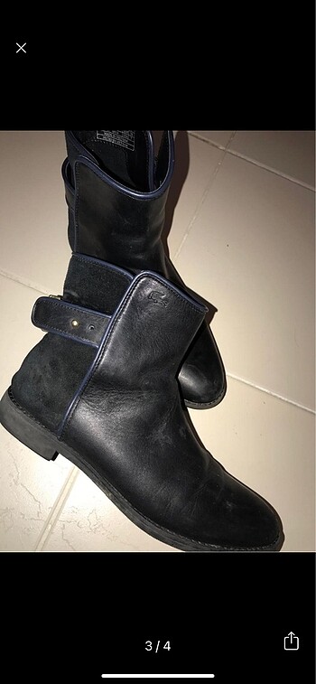 38 Beden Lacoste bot