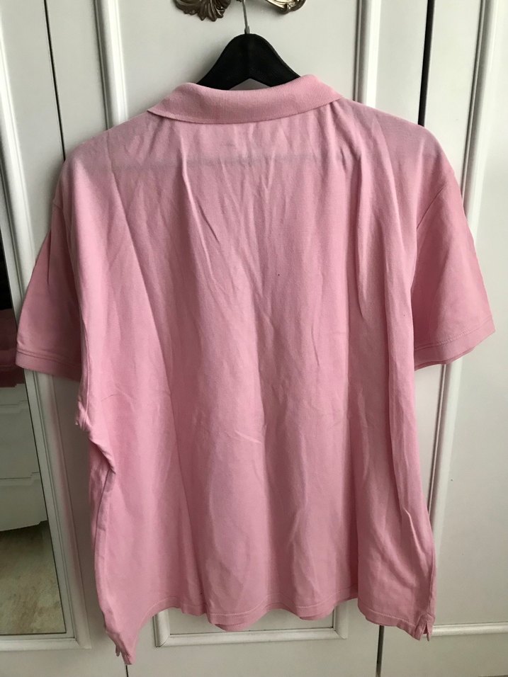 Erkek Pembe Kısa Kollu Polo Tişört - Görsel 4