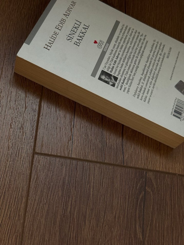 Sineklı Bakkal - Halide Edib Adıvar - Görsel 3