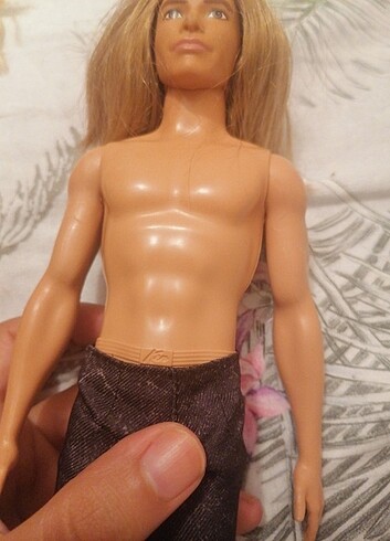 Barbie Barbie Yakışıklı Ken Bebekler