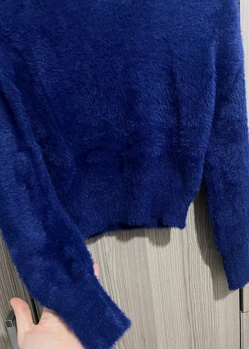 Mavi sakallı kazak - Görsel 3