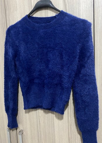 Mavi sakallı kazak - Görsel 2