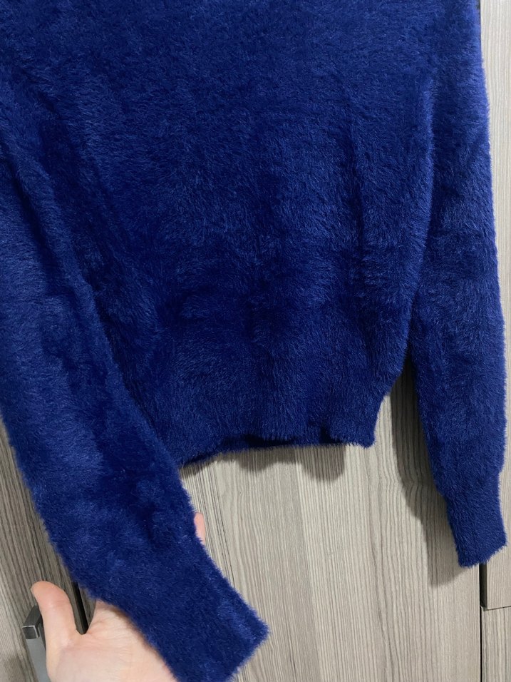 Mavi sakallı kazak - Görsel 3