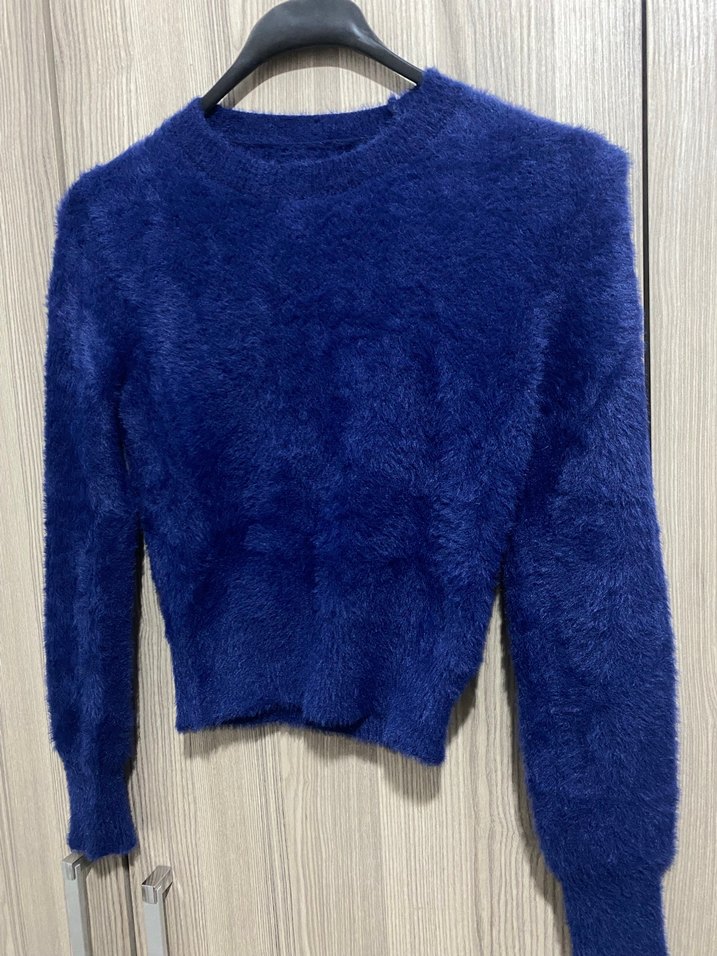 Mavi sakallı kazak - Görsel 2