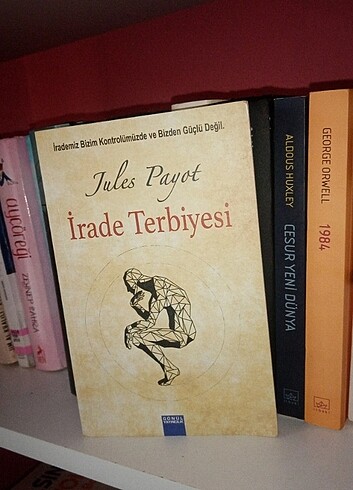  İRADE TERBİYESİ