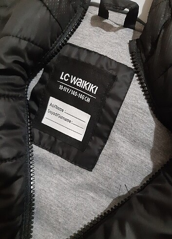 LC Waikiki Çocuk şişme yelek