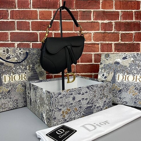 Dior CHRISTIAN DIOR Saddle Micro
