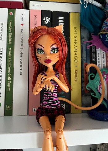 Beden monster high toralei