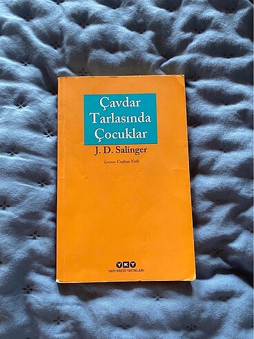 Çavdar tarlasındaki çocuklar