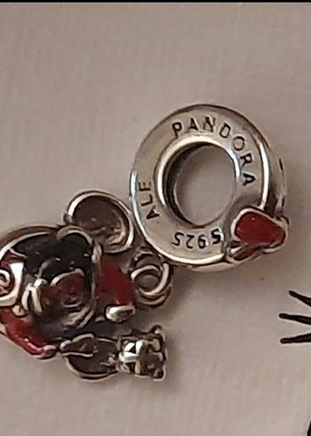 Gümüş Charm - Görsel 14