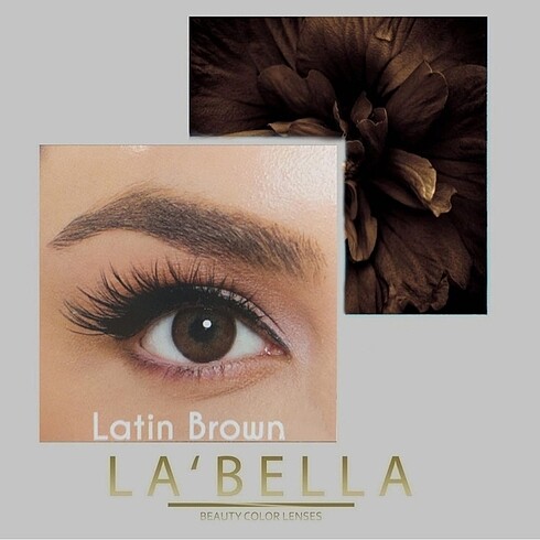 Labella Latin brown