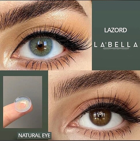 Labella lazord