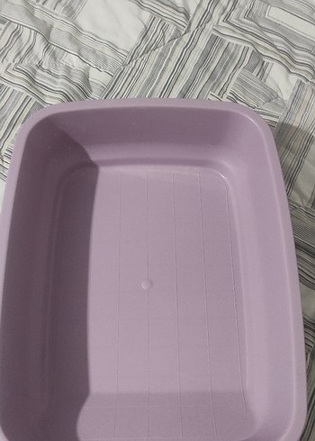 Pastel Mor Plastik Kedi Tuvalet Kabı