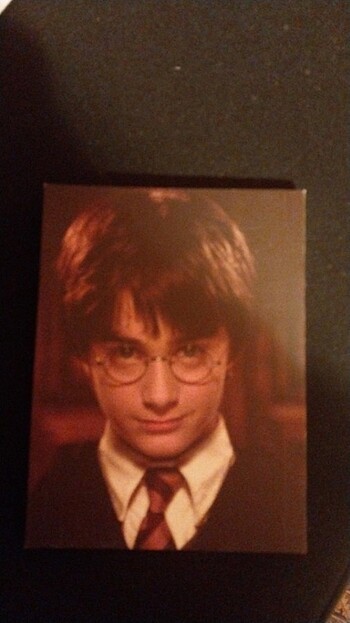 Harry Potter Çizgisiz Not Defteri